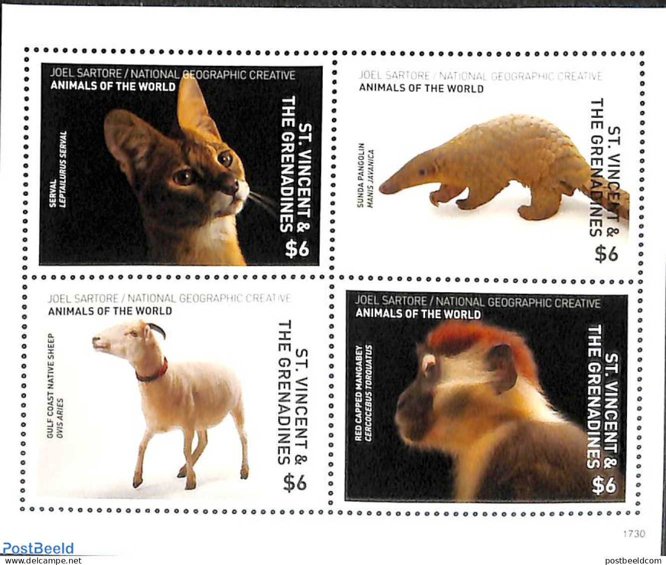 Saint Vincent 2017 Animals Of The World 4v M/s, Mint NH, Nature - Animals (others & Mixed) - Cat Family - Monkeys - St.Vincent (1979-...)