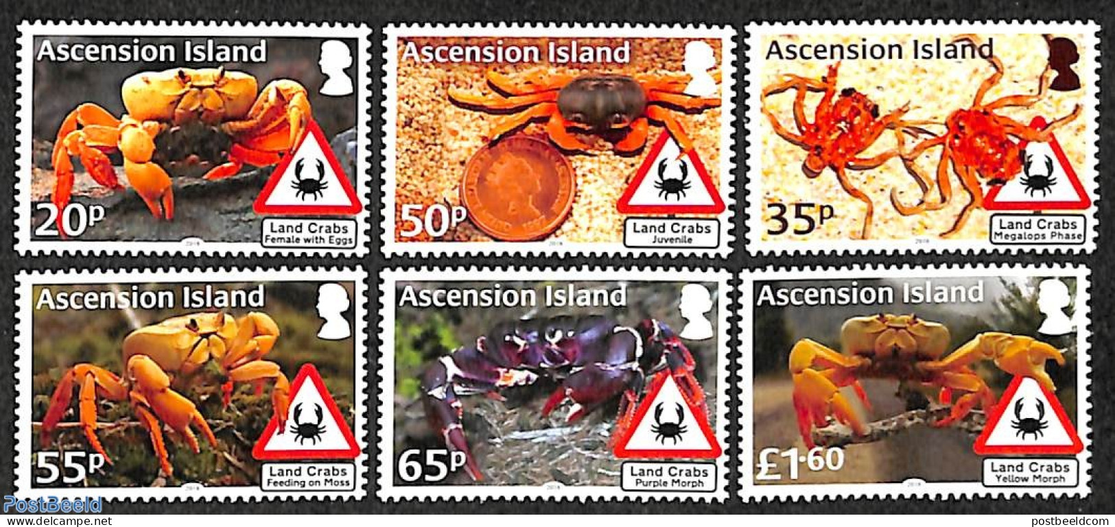 Ascension 2018 Landcrabs 6v, Mint NH, Nature - Crabs And Lobsters - Ascensión