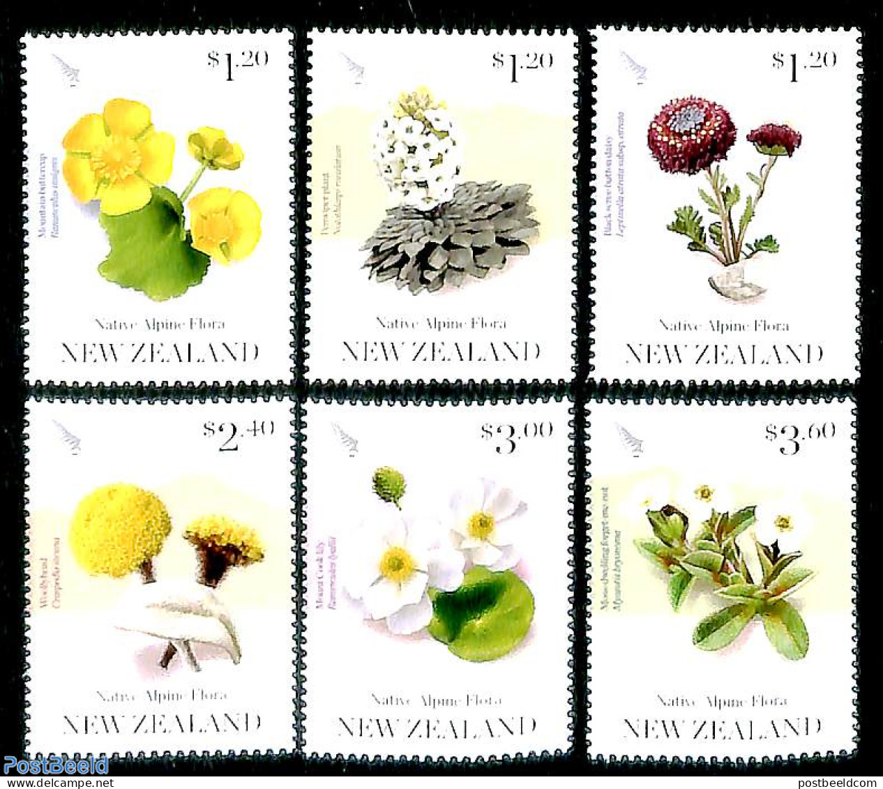 New Zealand 2019 Mountain Flora 6v, Mint NH, Nature - Flowers & Plants - Ongebruikt