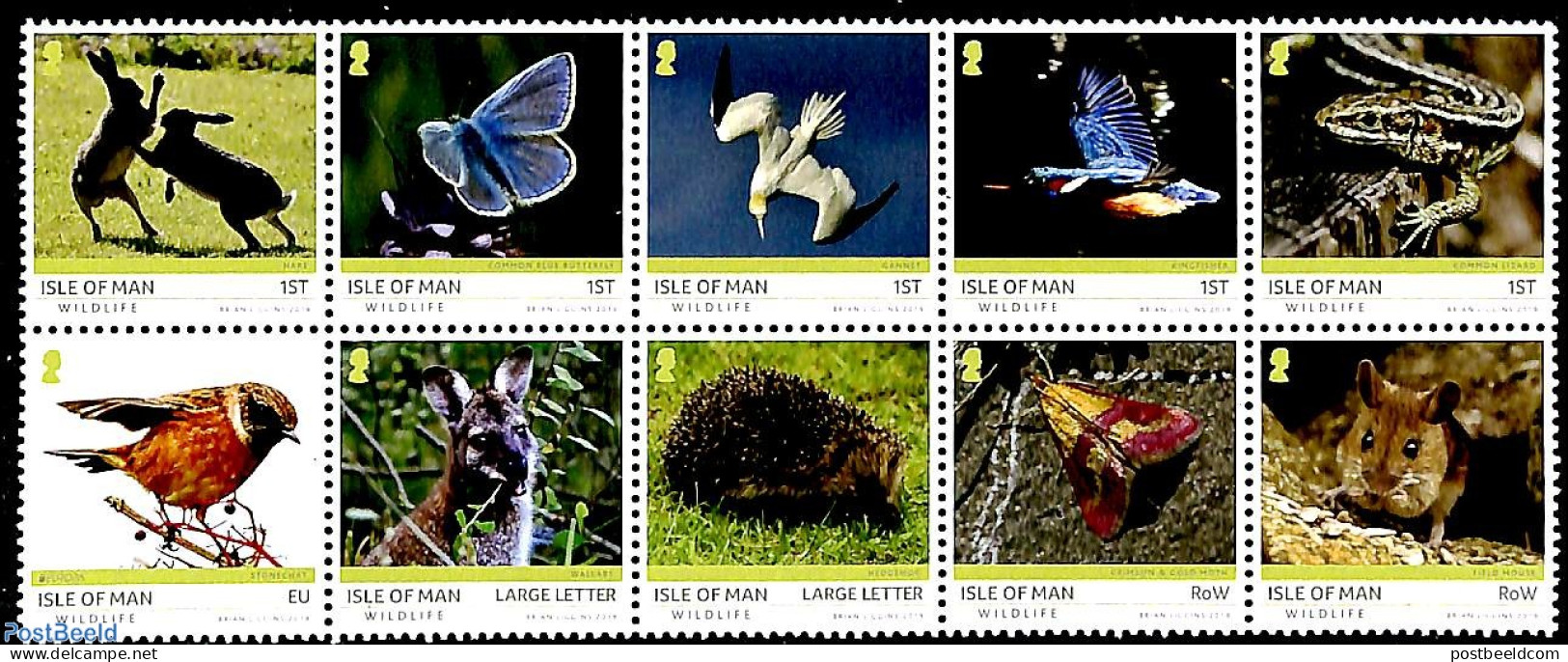 Isle Of Man 2019 Wildlife 10v [++++], Mint NH, Nature - Animals (others & Mixed) - Birds - Butterflies - Hedgehog - Ra.. - Man (Ile De)