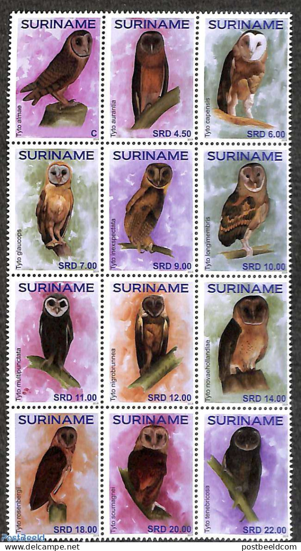 Suriname, Republic 2019 Owls 12v, Sheetlet, Mint NH, Nature - Birds - Birds Of Prey - Owls - Suriname