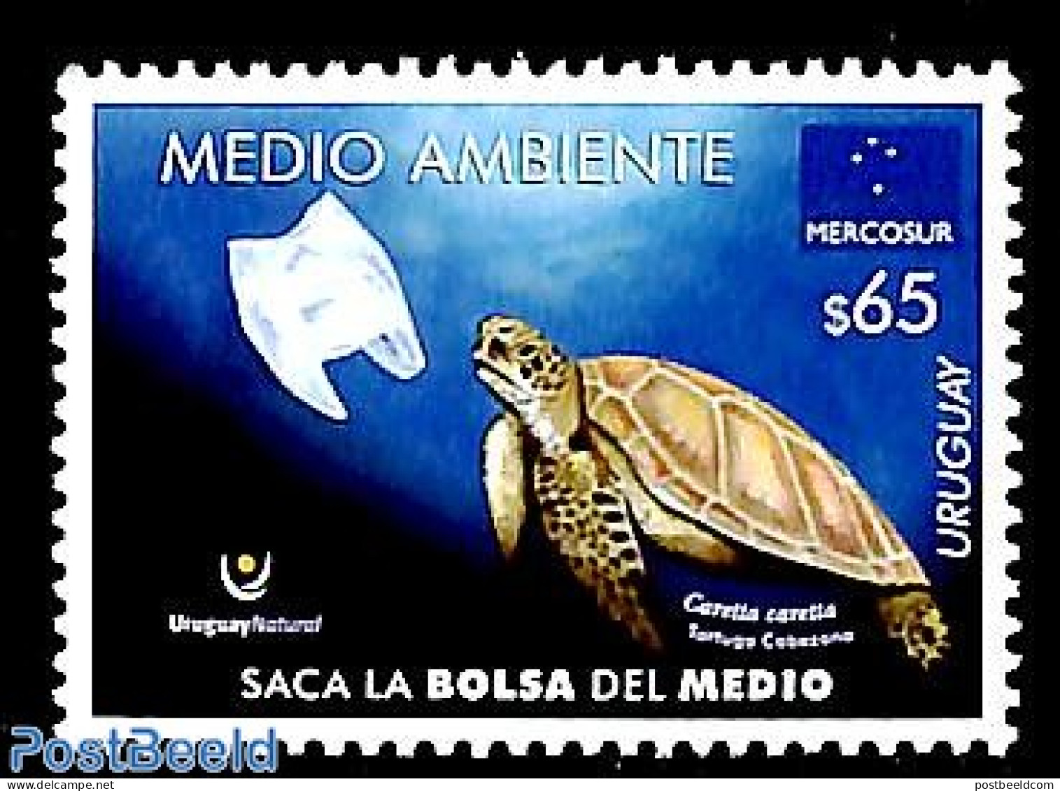 Uruguay 2019 Turtles, Mercosur 1v, Mint NH, Nature - Reptiles - Turtles - Uruguay
