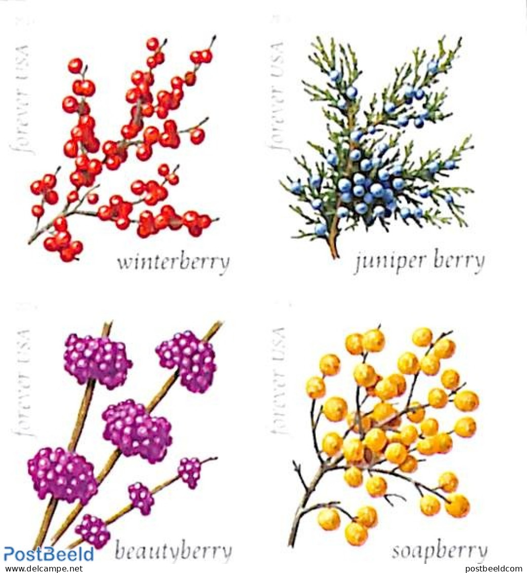 United States Of America 2019 Winter Berries 2x4v Double-sided, Mint NH, Nature - Fruit - Ungebraucht