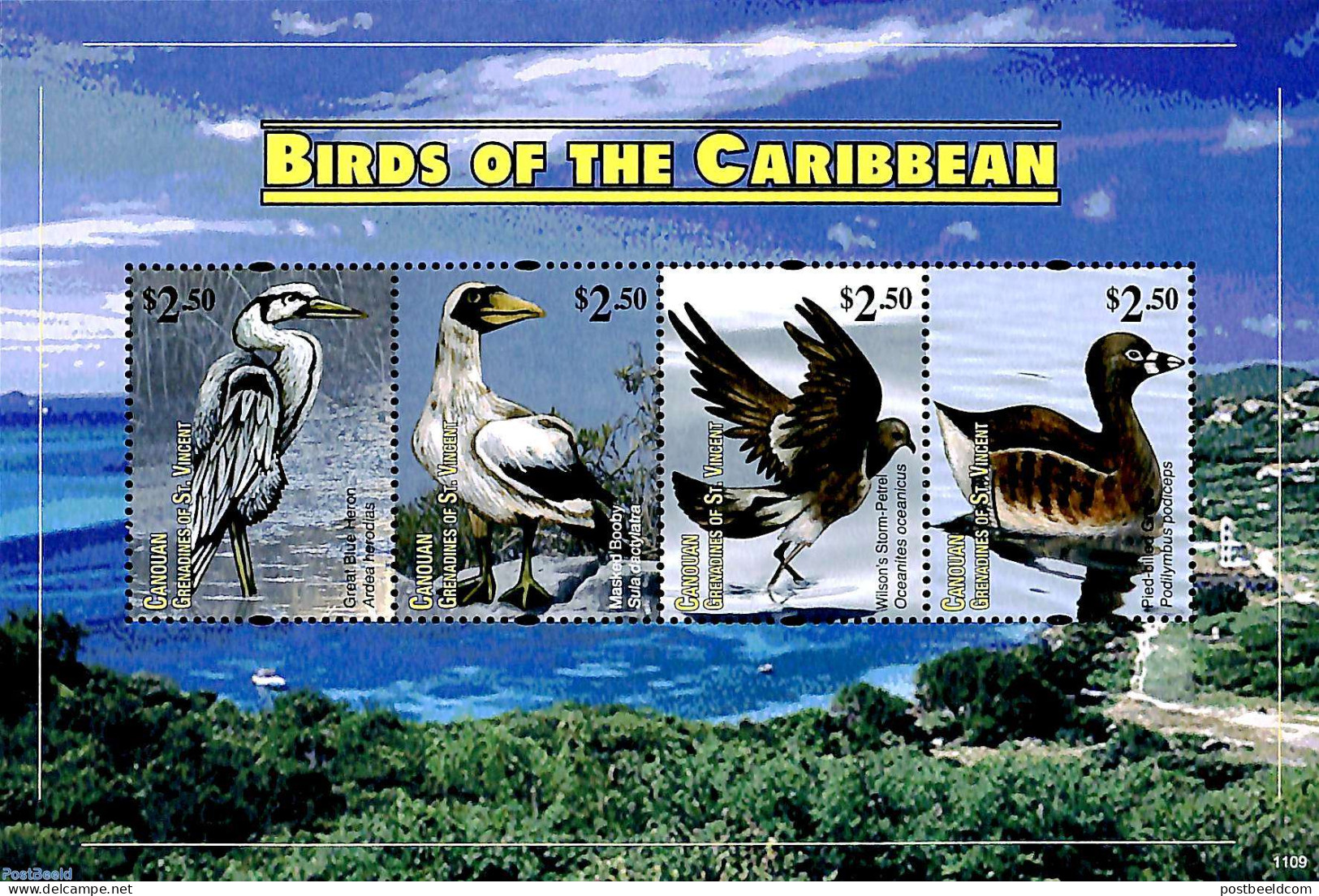 Saint Vincent & The Grenadines 2011 Canouan, Birds 4v M/s, Mint NH, Nature - Birds - Ducks - St.Vincent Y Las Granadinas