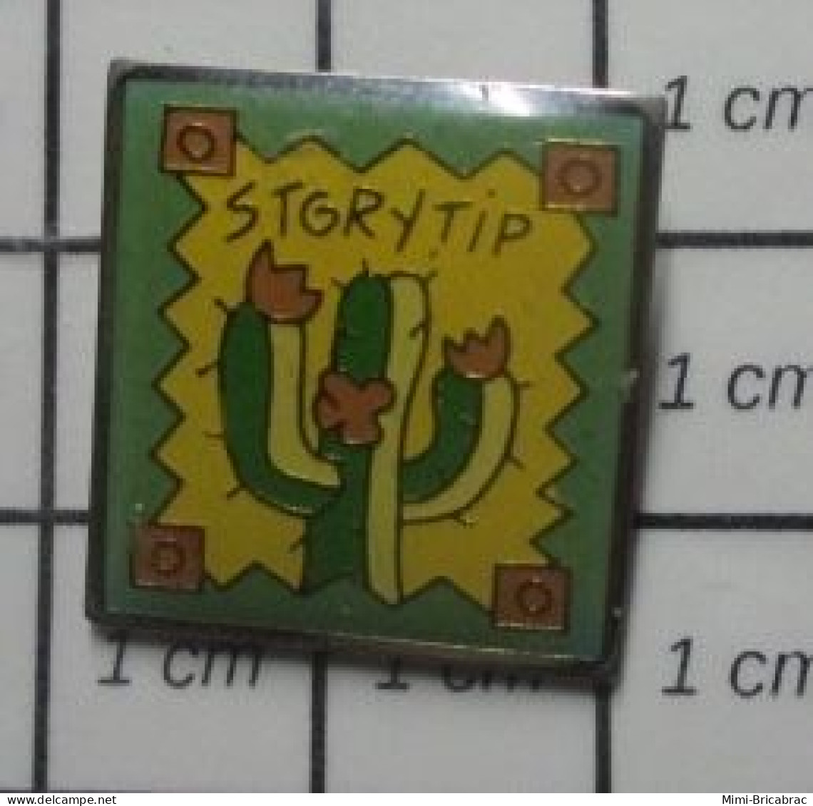 1818A Pin's Pins / Beau Et Rare / THEME : MARQUES / STORYTIP CACTUS FLEURI - Trademarks