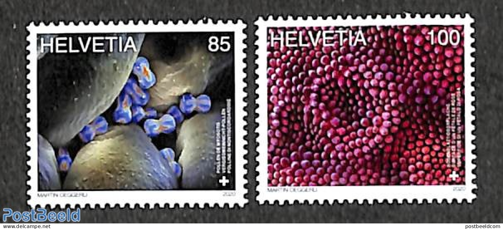 Switzerland 2020 Microscope Art 2v, Mint NH - Unused Stamps