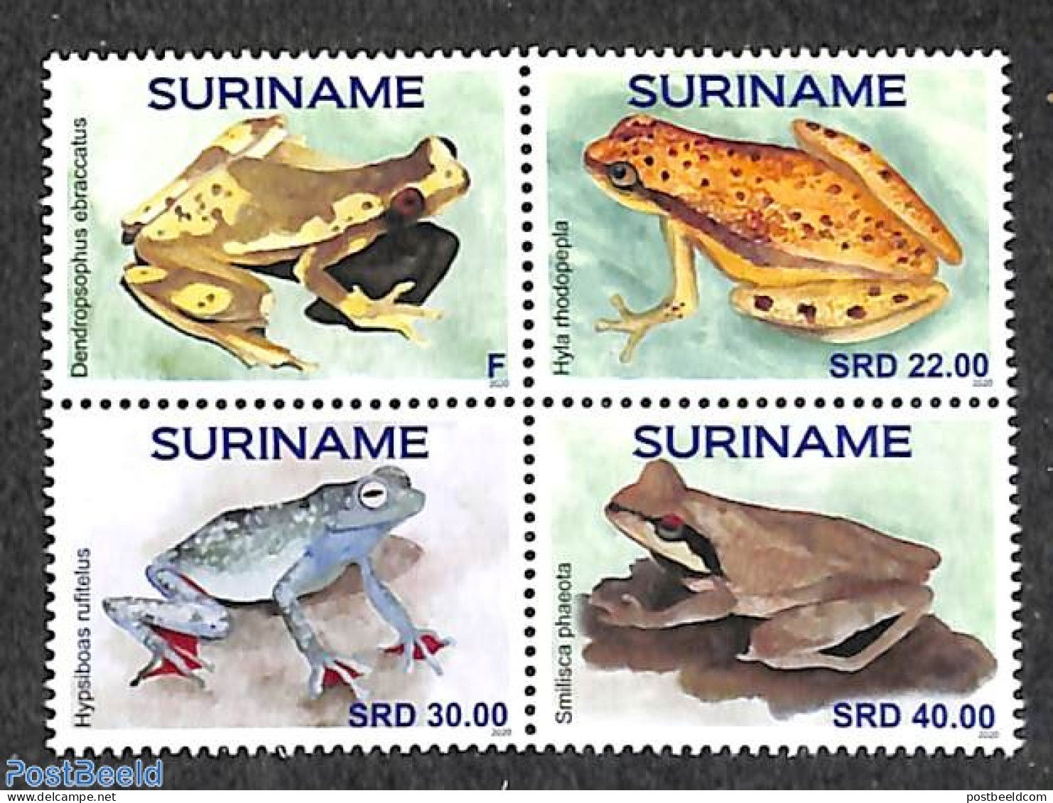 Suriname, Republic 2020 Frogs 4v [+], Mint NH, Nature - Frogs & Toads - Reptiles - Surinam