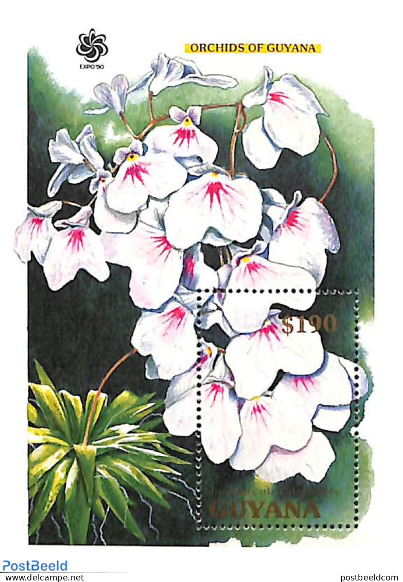 Guyana 1990 Ionopsis Utricularioides S/s, Mint NH, Nature - Flowers & Plants - Orchids - Guyana (1966-...)