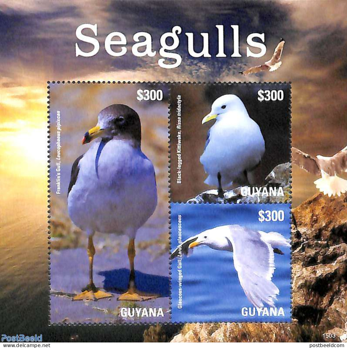 Guyana 2015 Seagulls 3v M/s, Mint NH, Nature - Birds - Guyane (1966-...)