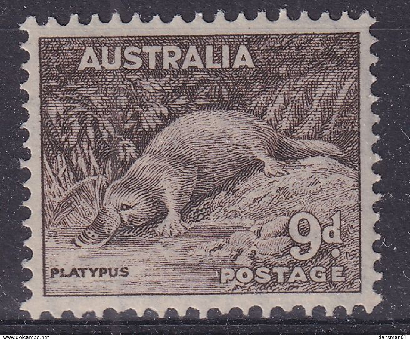 Australia 1938 Platypus P.14x13.5 SG 173 Mint Never Hinged - Nuovi