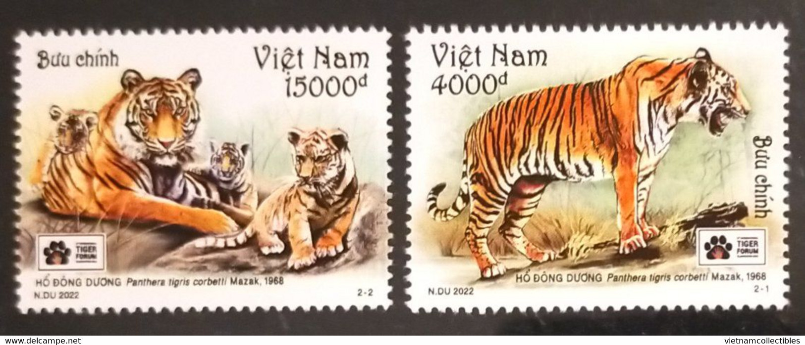 Lot Of 08 Sets Of Vietnam Viet Nam MNH Perf Stamps 2022 : Indochinese Tiger Panthera Tigris / Big Cat (Ms1162) - Vietnam