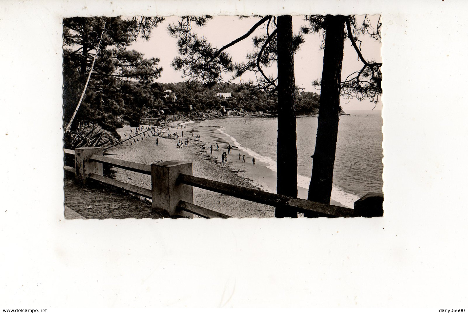 RAYOL - Plage Du Canadet (carte Photo Animée) - Rayol-Canadel-sur-Mer