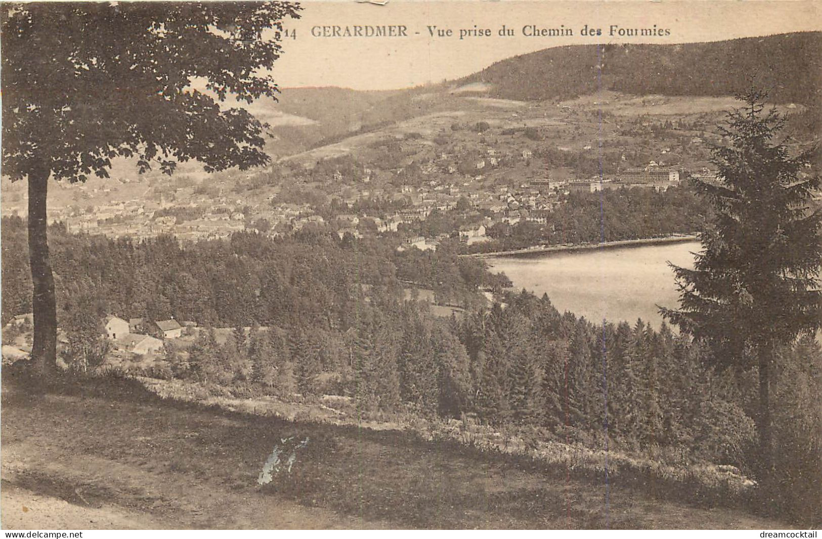 (S) Superbe LOT n°16 de 50 cartes postales anciennes régionalisme dont Châteaux