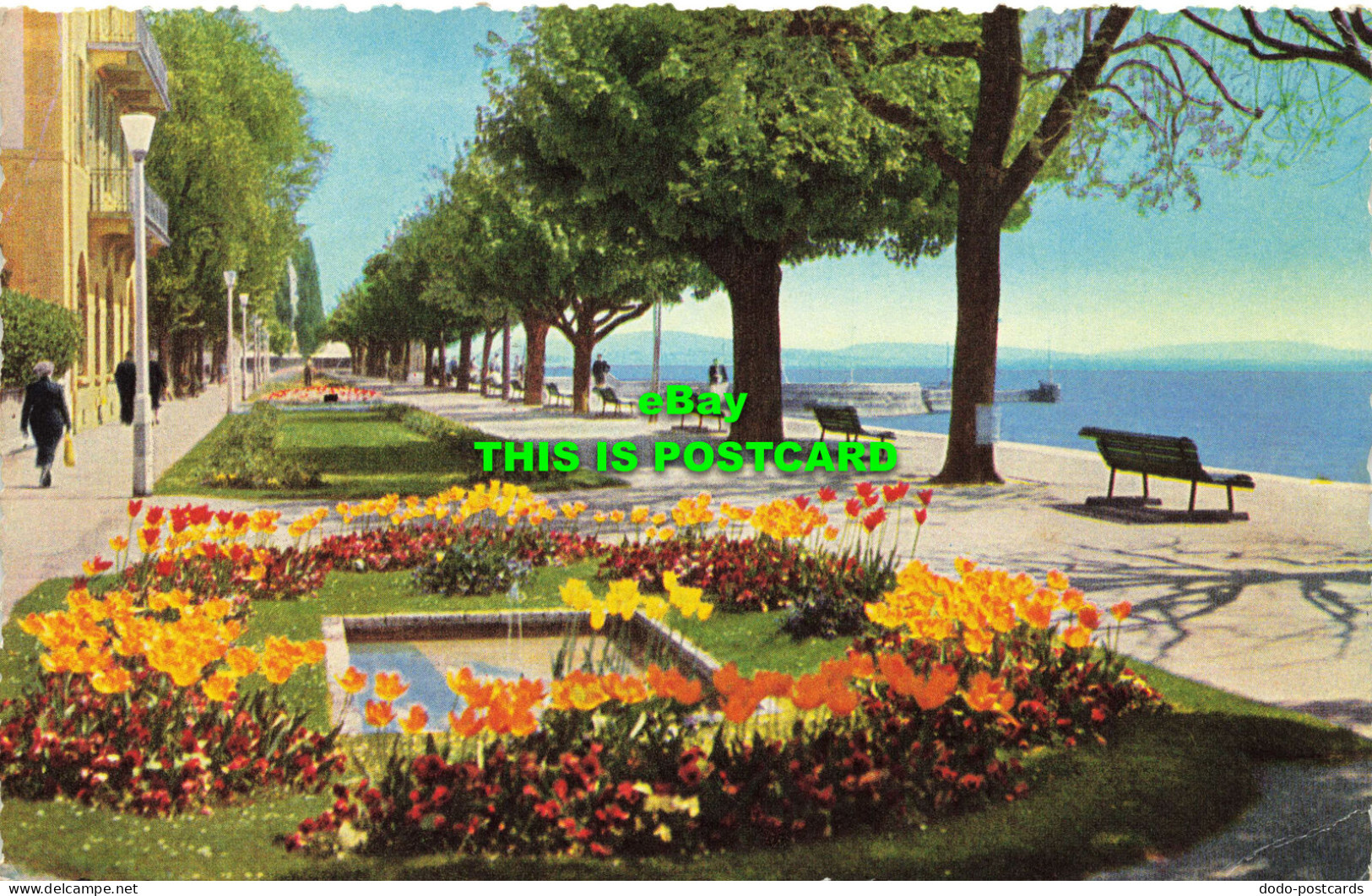 R616233 10053. Neuchatel. Quai Osterwald. Editions Sartori. Lausanne. 1957 - World