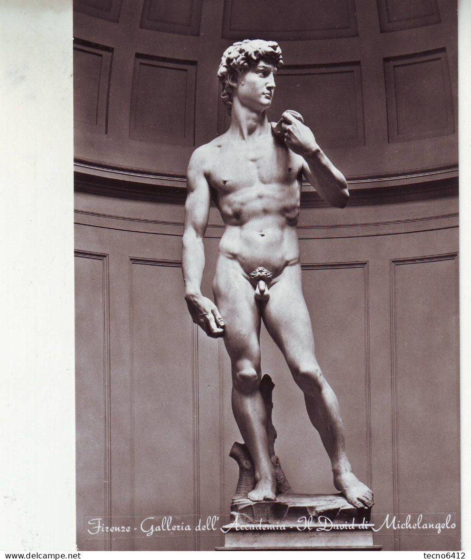 Firenze - Galleria Dell'accademia - Il David Di Michelangelo - Non Viaggiata - Firenze (Florence)