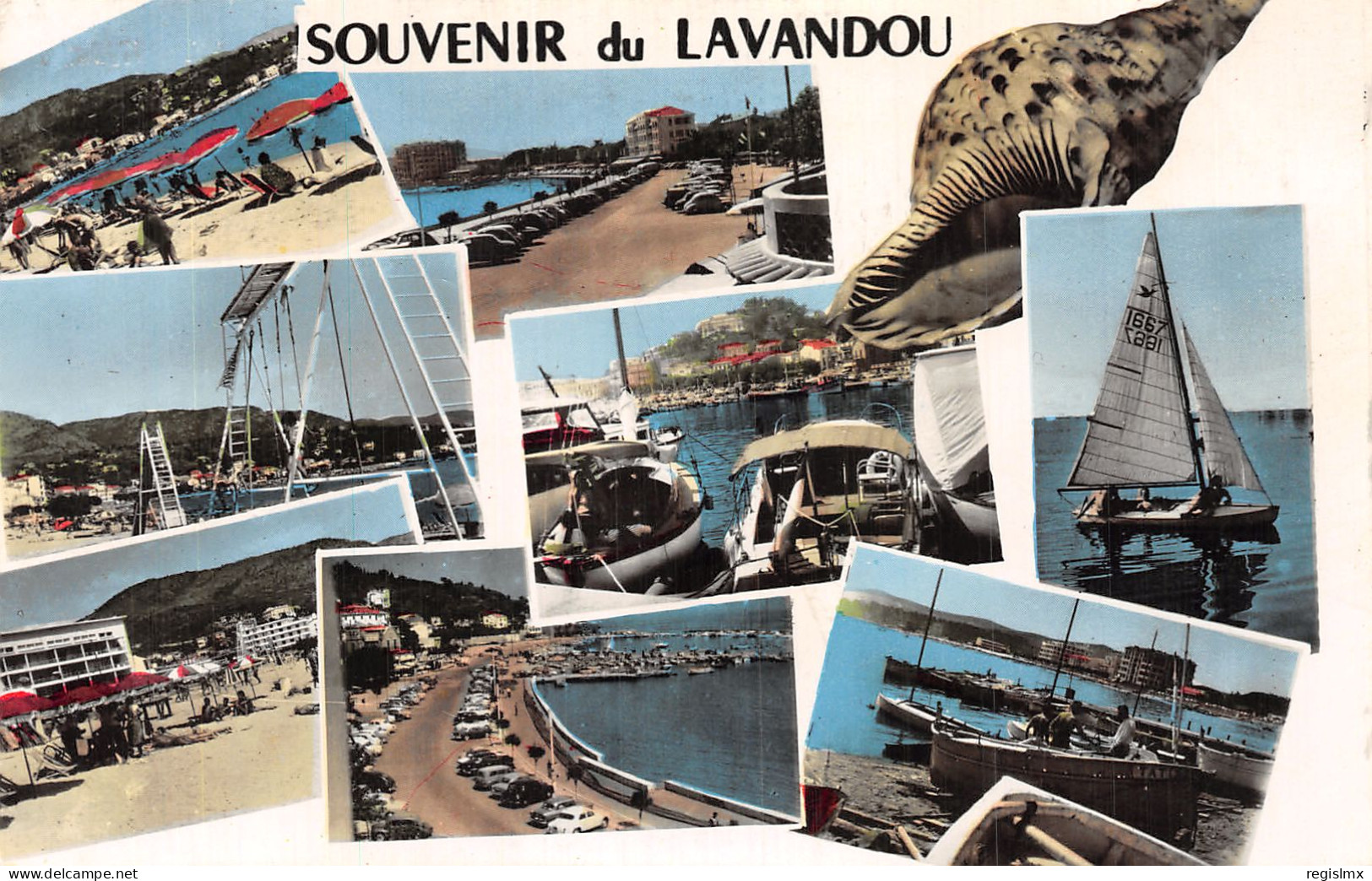 83-LE LAVANDOU-N°T1069-C/0155 - Le Lavandou