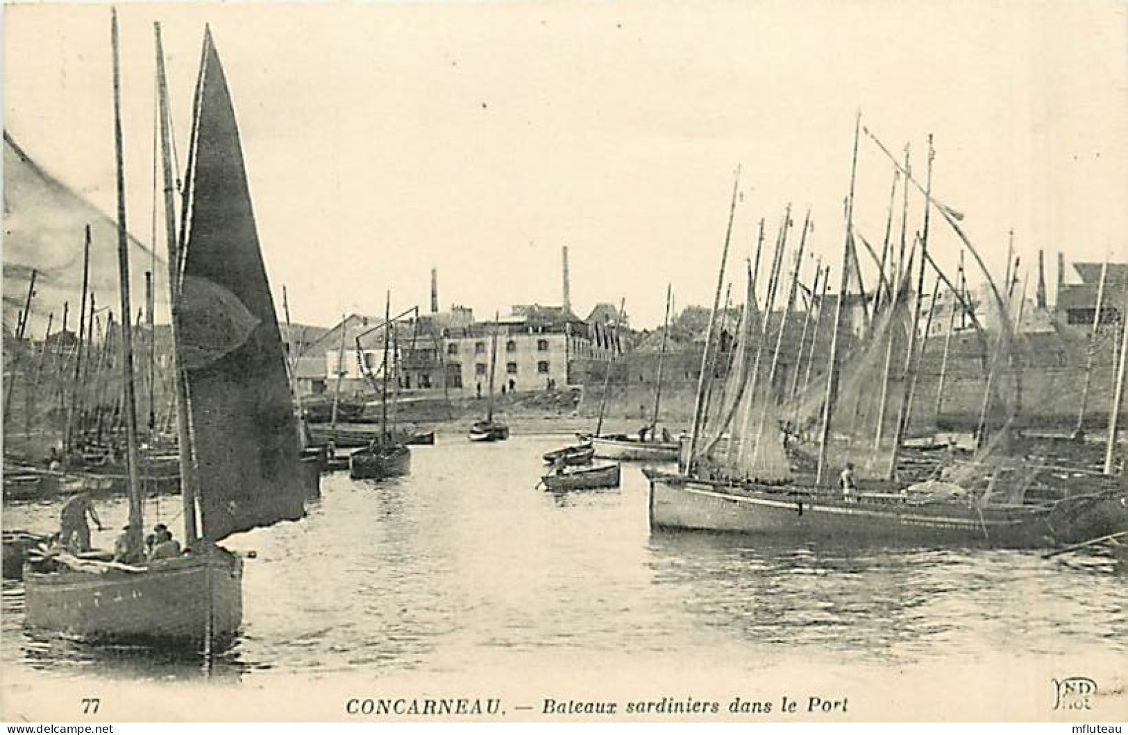 29* CONCARNEAU Sardiniers  MA100,1459 - Fishing
