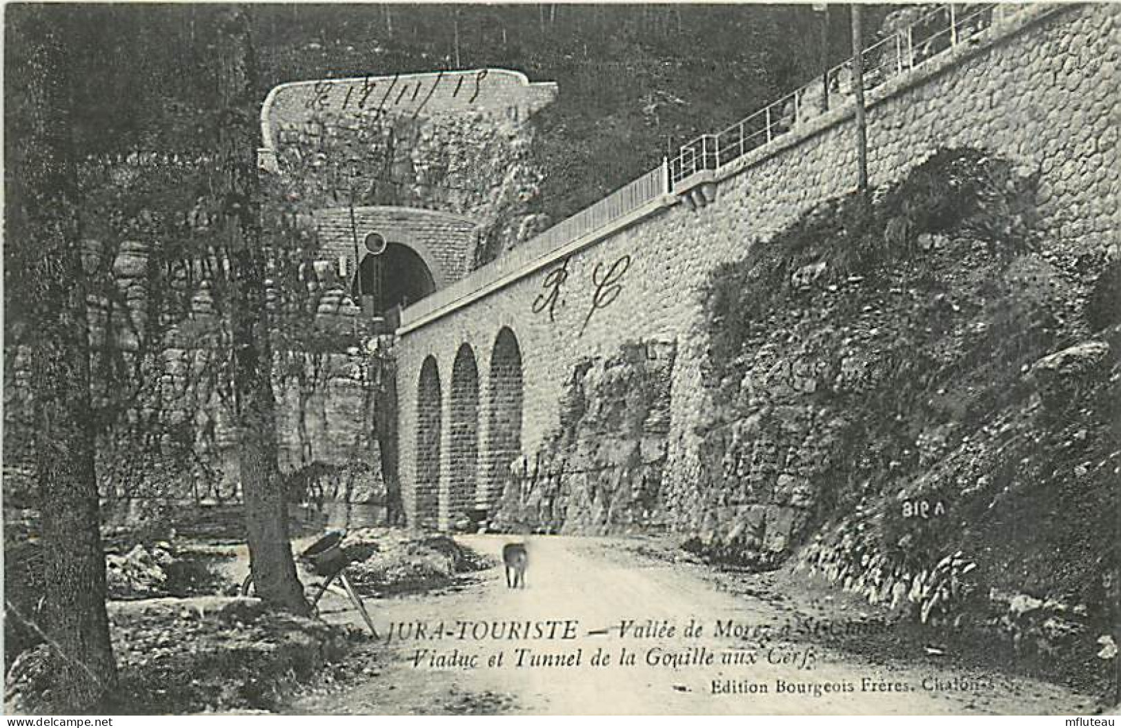 39* MOREZ La Vallee  Tunnel Gouille Aux Cerfs      MA101,0700 - Morez