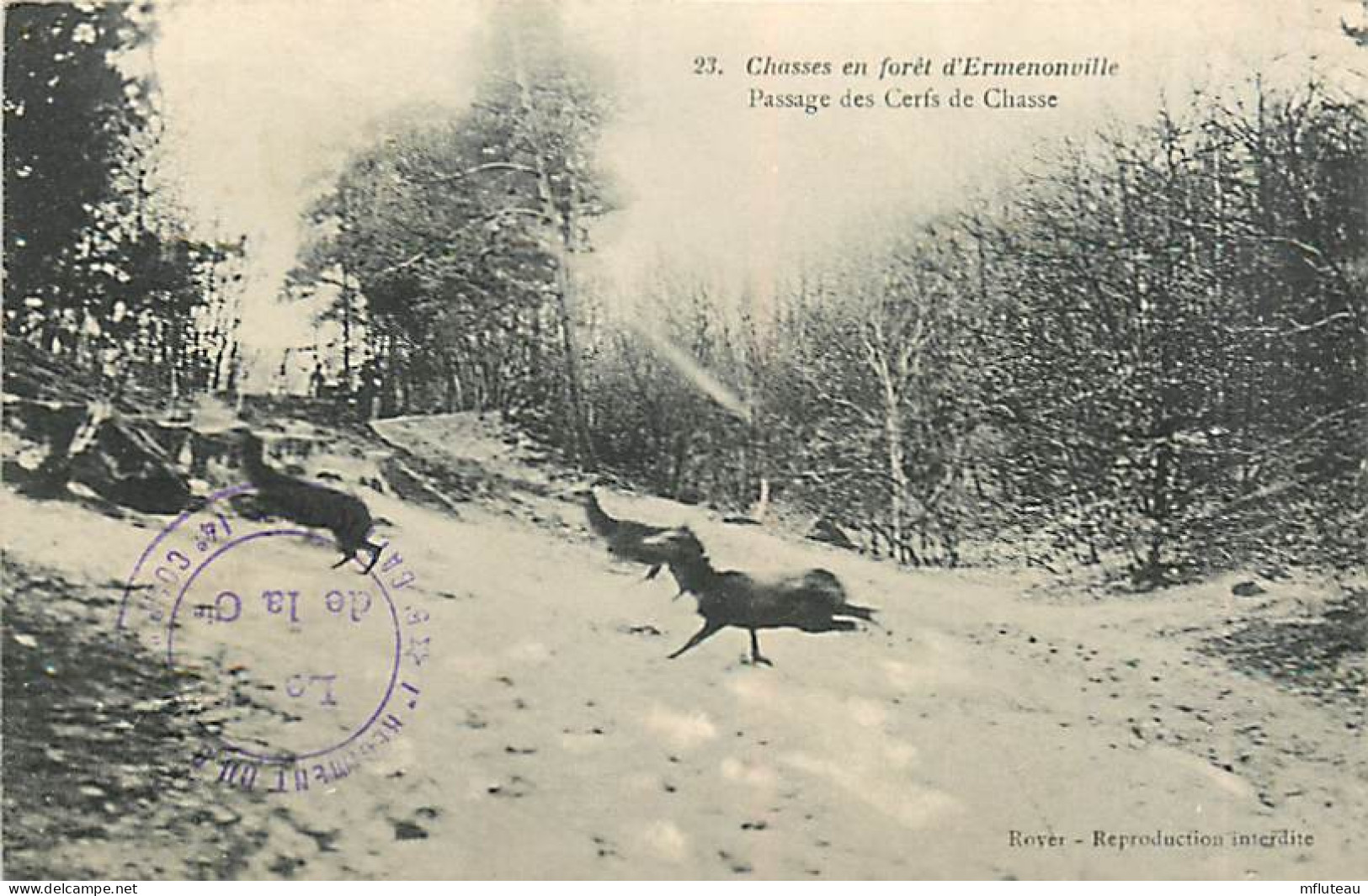 60* ERMENONVILLE Chasse Aux Cerfs        MA102,1134 - Hunting