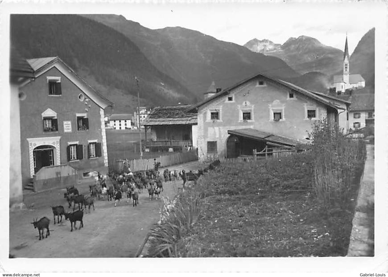 Dorfpartie Aus Alt Herde Se Ziegen Chèvres  ( 10x 15) - Zernez