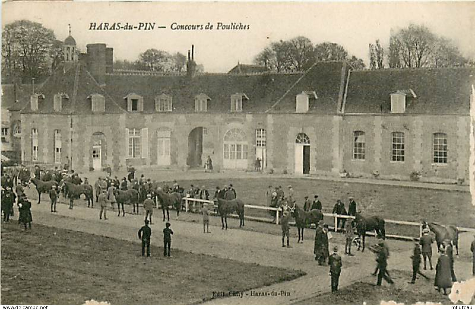 61* HARAS DU PIN Concours Pouliches   MA103,0112 - Breeding