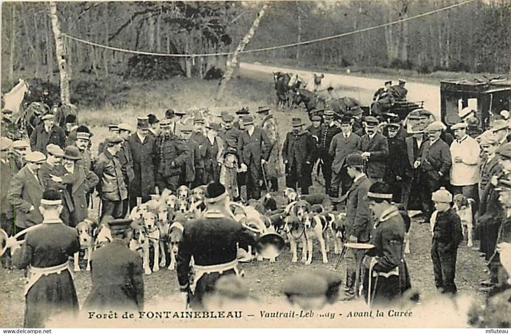 77* FONTAINEBLEAU Chasse A Courre -vautrait Lebaudy  MA104,0504 - Chasse