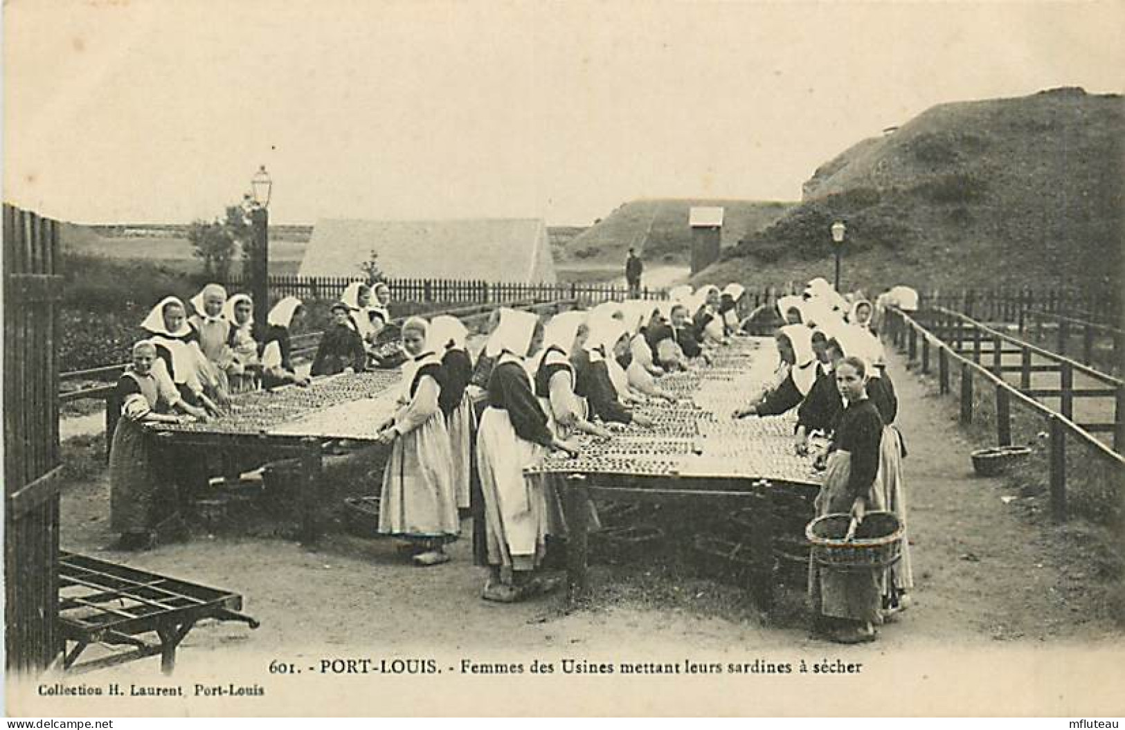 56* PORT LOUIS Femmes  Sechage Des Sardines        MA105,0188 - Port Louis