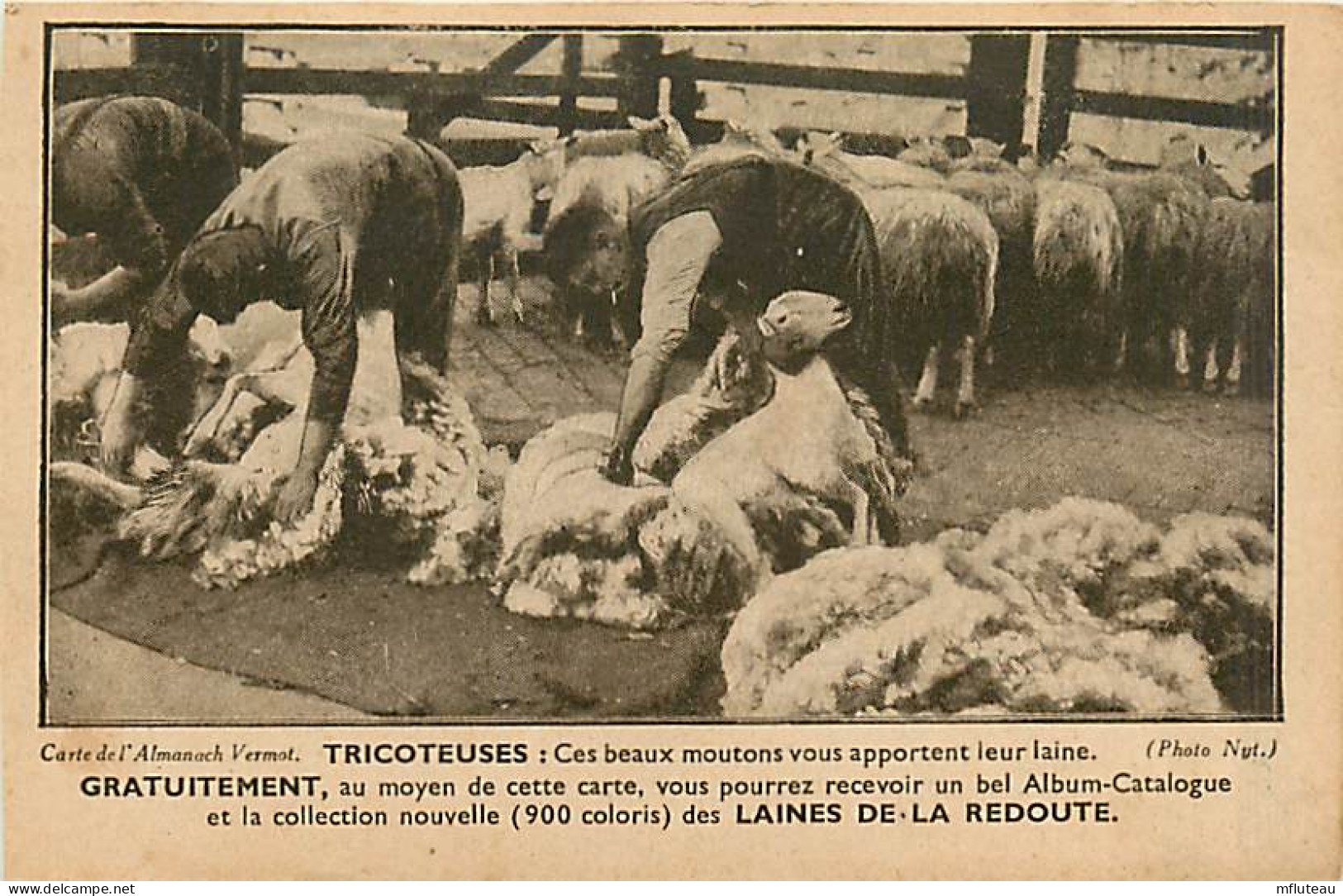 59* ROUBAIX  Tonte Moutons (pub La Redoute au Verso)       MA105,0344 - Roubaix