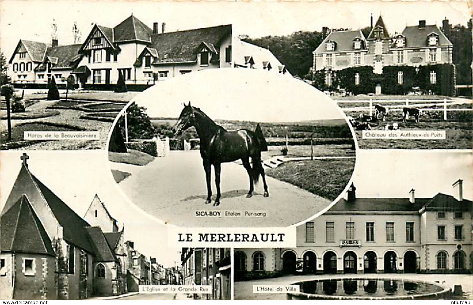 61* LE MERLERAULT  Multivues  CPSM(9X14)       MA105,1281 - Le Merlerault