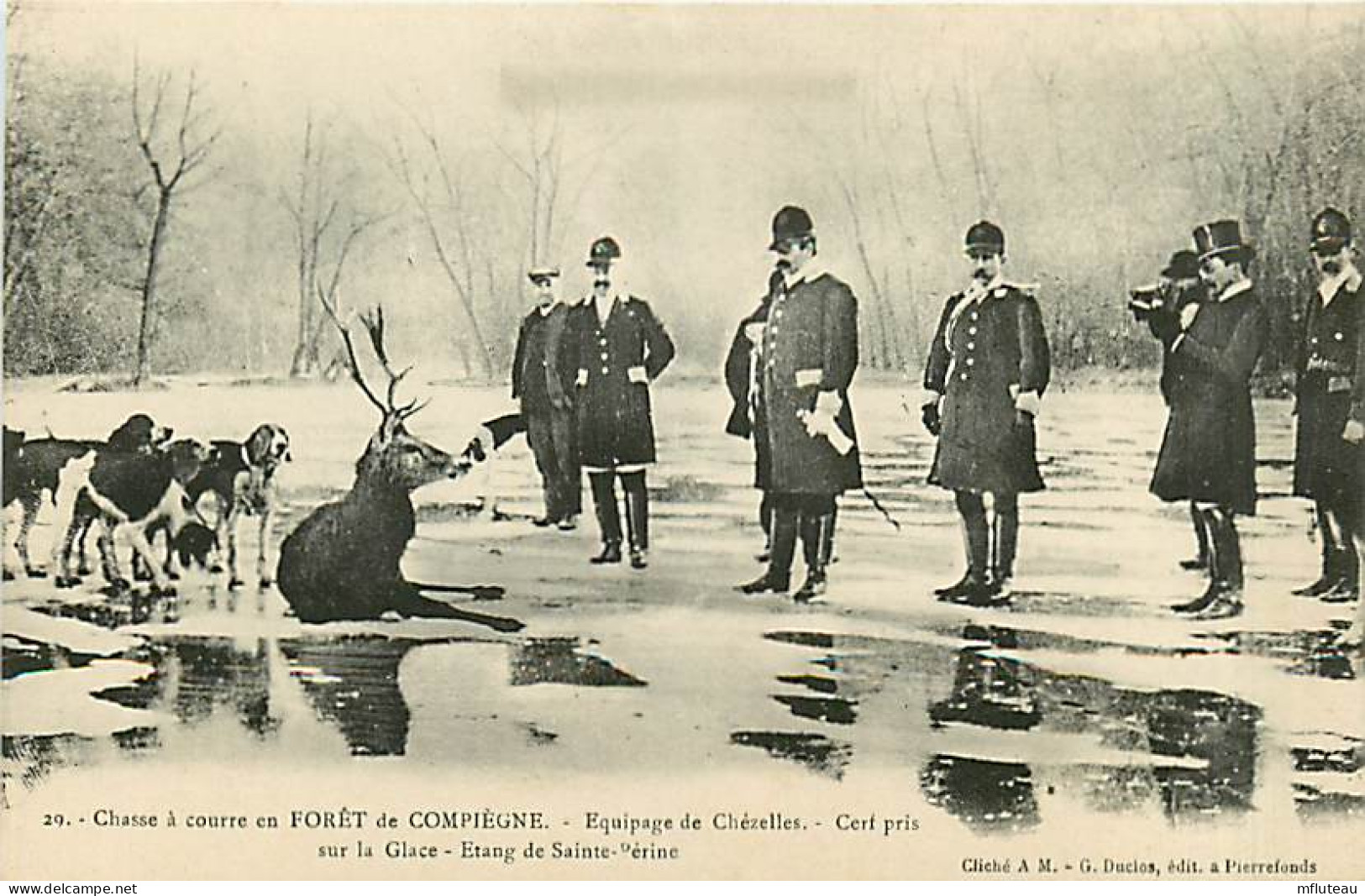 60* COMPIEGNE  Chasse A Courre  Cerf Pris Sur  La Glace        MA105,1140 - Chasse