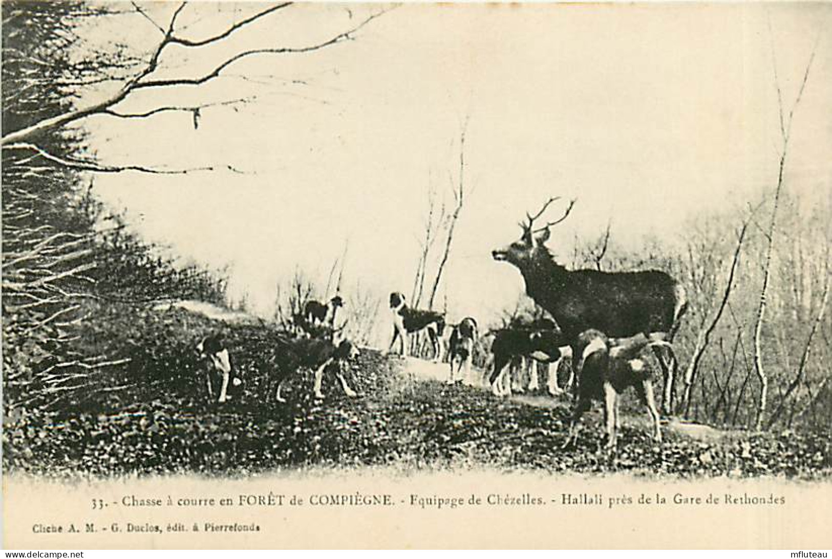 60* COMPIEGNE  Chasse A Courre  Hallali Rethondes       MA105,1141 - Jagd