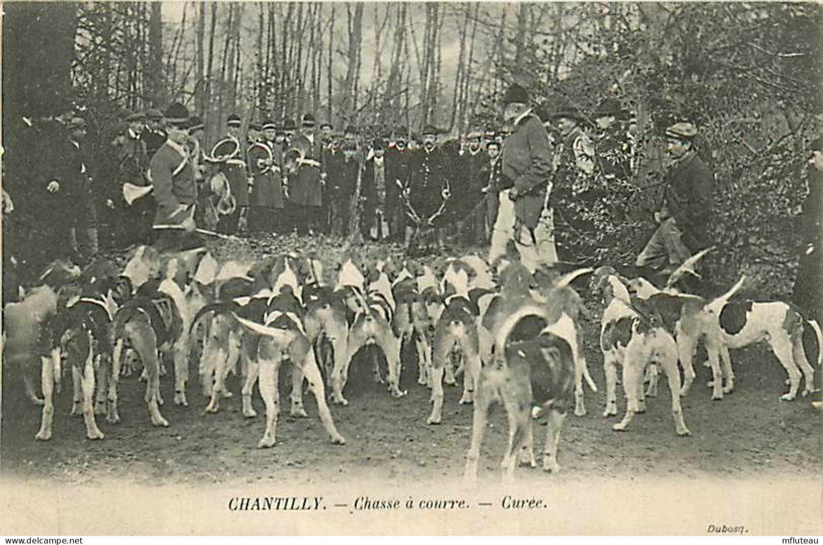 60* CHANTILLY   Chasse A Courre   Curee       MA105,1142 - Hunting