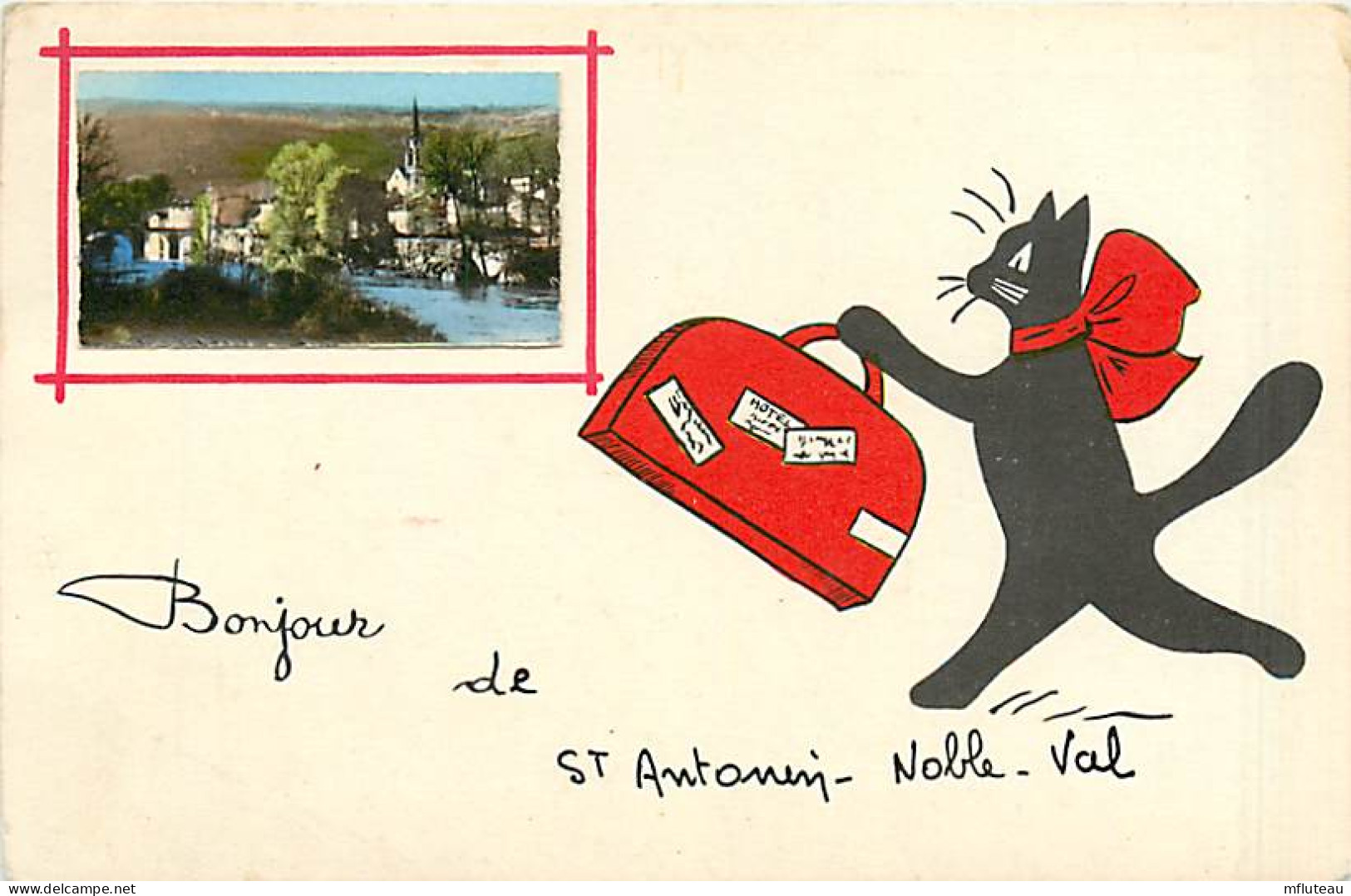82* ST ANTONIN NOBLE VAL  Bonjour ( Chat)    CPSM(9x14cm)   MA107,0194 - Saint Antonin Noble Val