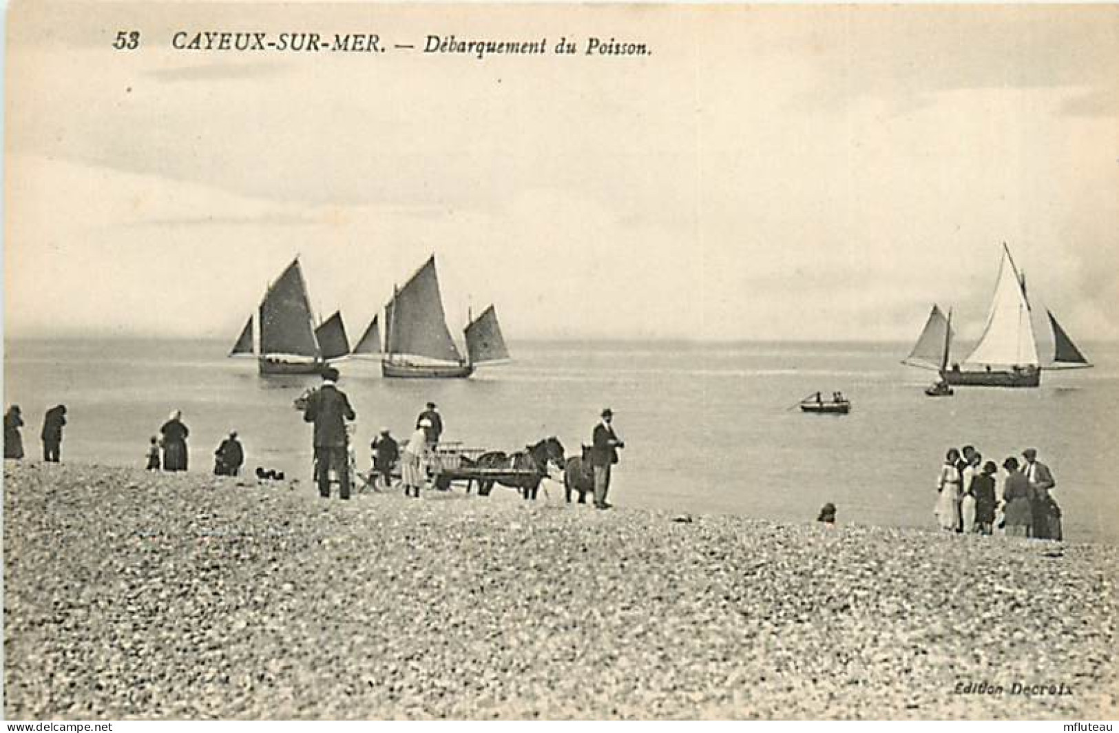 80* CAYEUX SUR MER  Debarquement Du Poisson    MA107,0090 - Cayeux Sur Mer