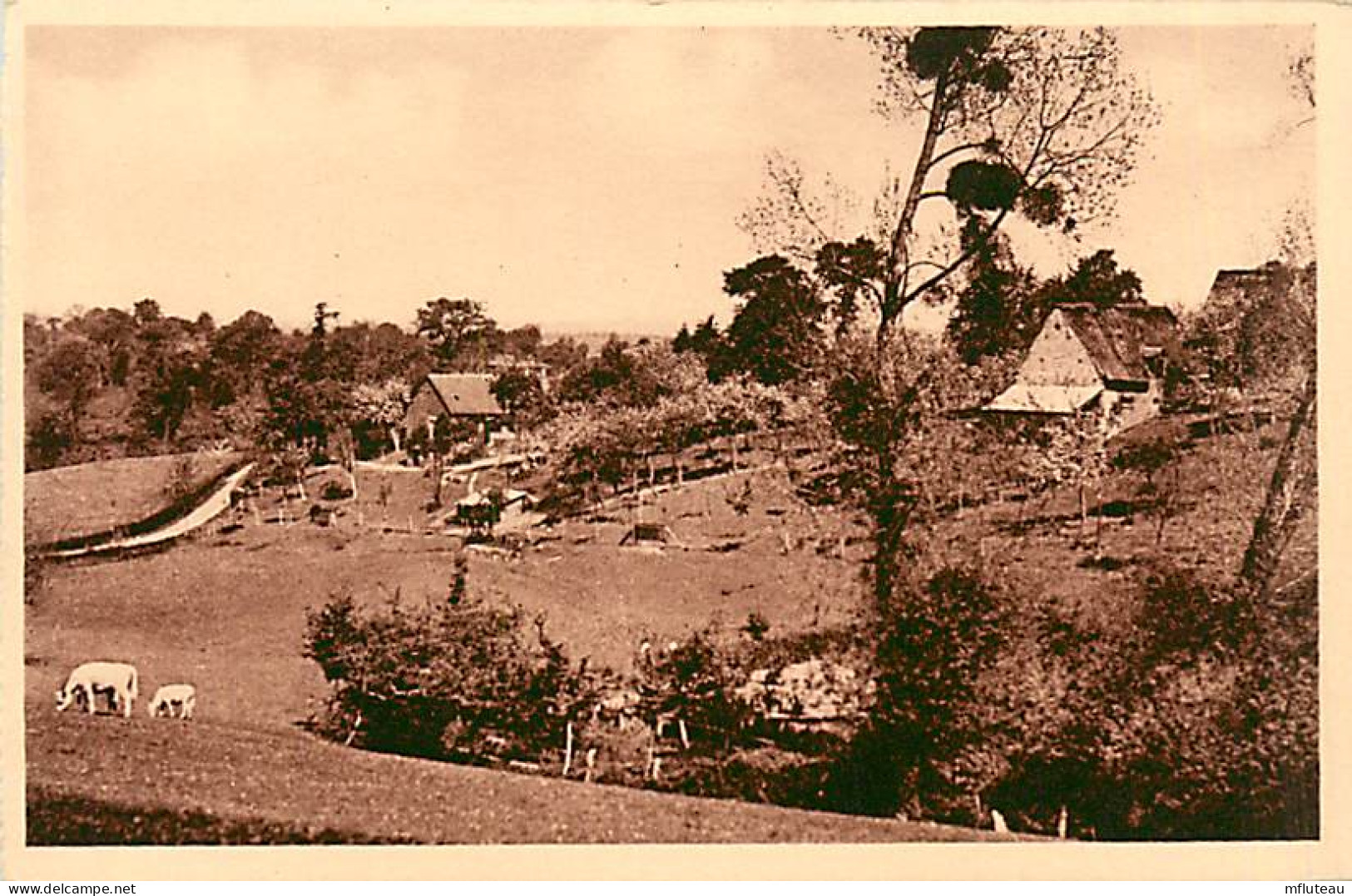 61* CALIGNY   Ferme Du Bocage   MA106,0988 - Bauernhöfe