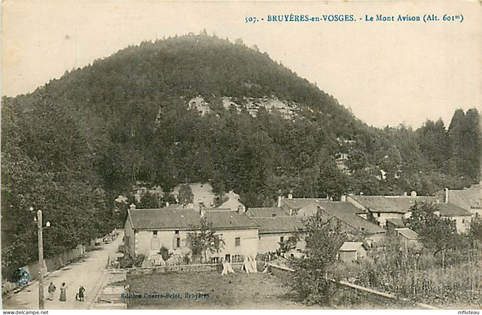 88* BRUYERES EN VOSGES    Mont Avison     MA107,1046 - Bruyeres