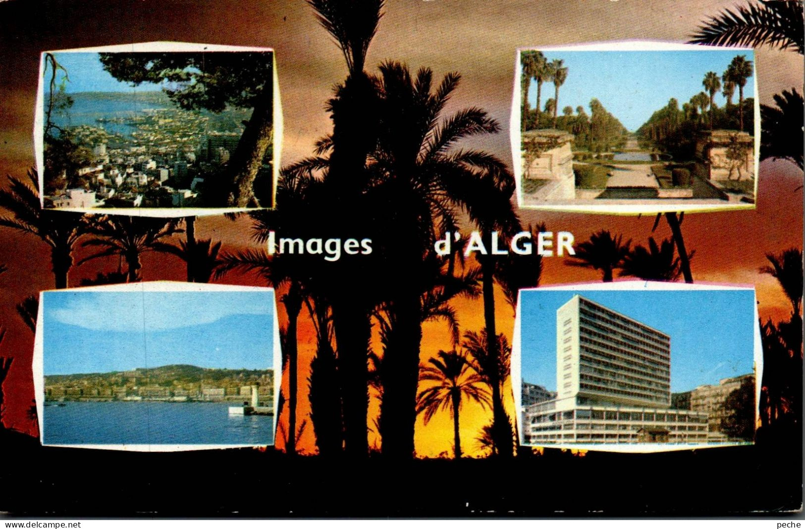 N°1889 W -cpsm Images D'Alger - Algiers