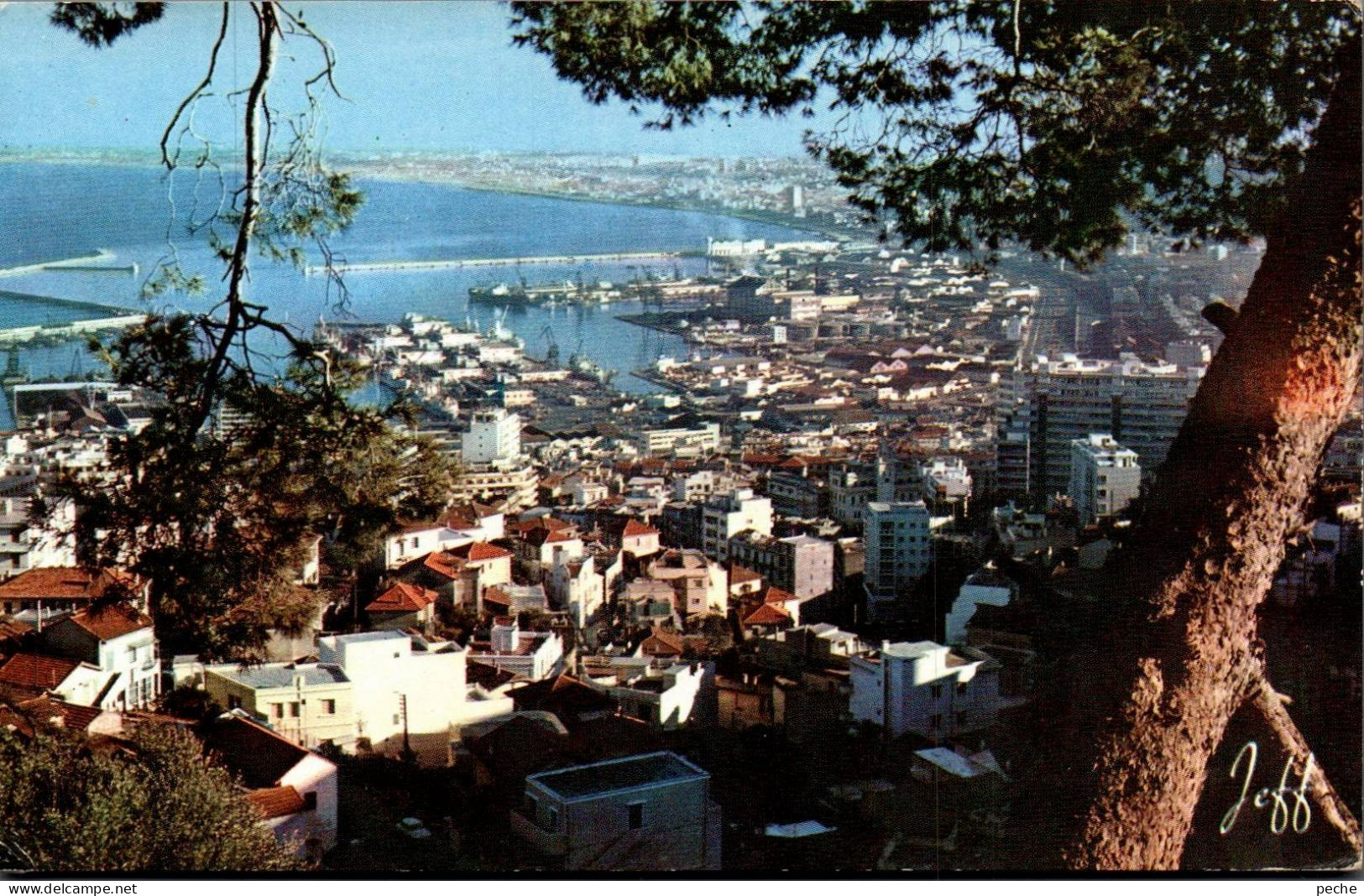 N°1892 W -cpsm Alger -vue Panoramique- - Algerien