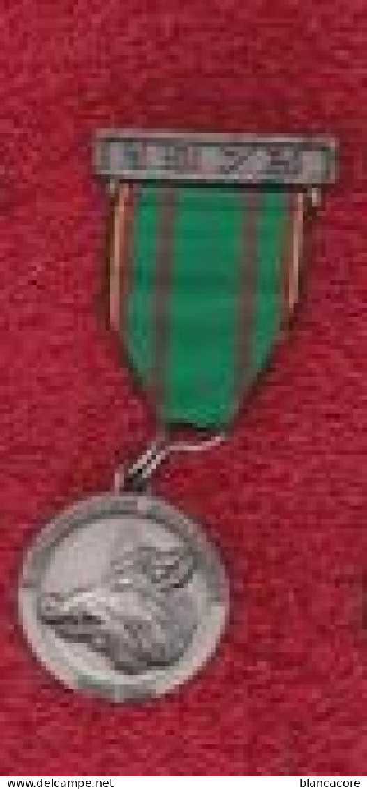 3 ème Chasseurs Ardennais VIELSALM  Médaille Marche Du Souvenir 1973 - Otros & Sin Clasificación