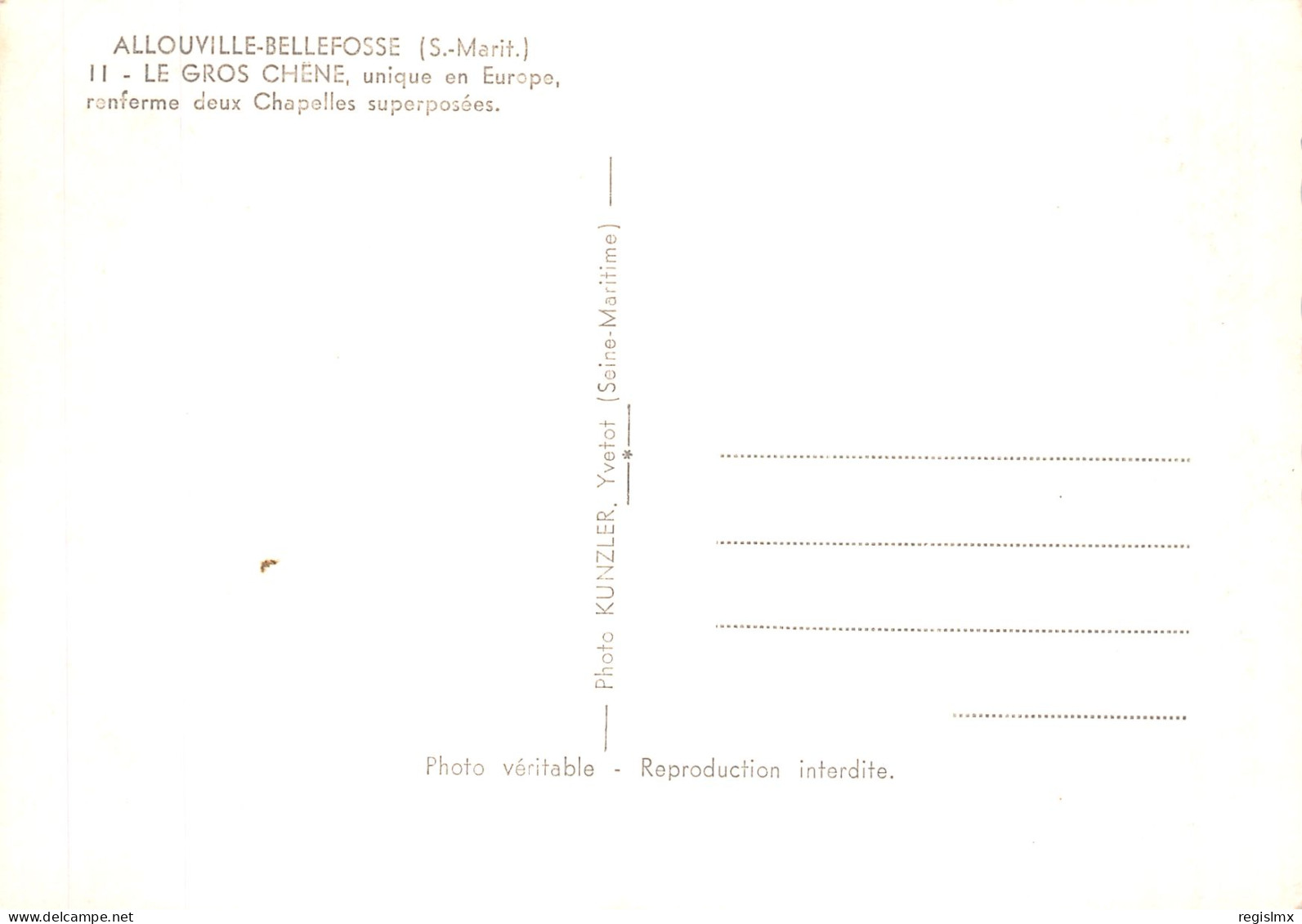 76-ALLOUVILLE BELLEFOSSE-N°T1074-D/0215 - Allouville-Bellefosse