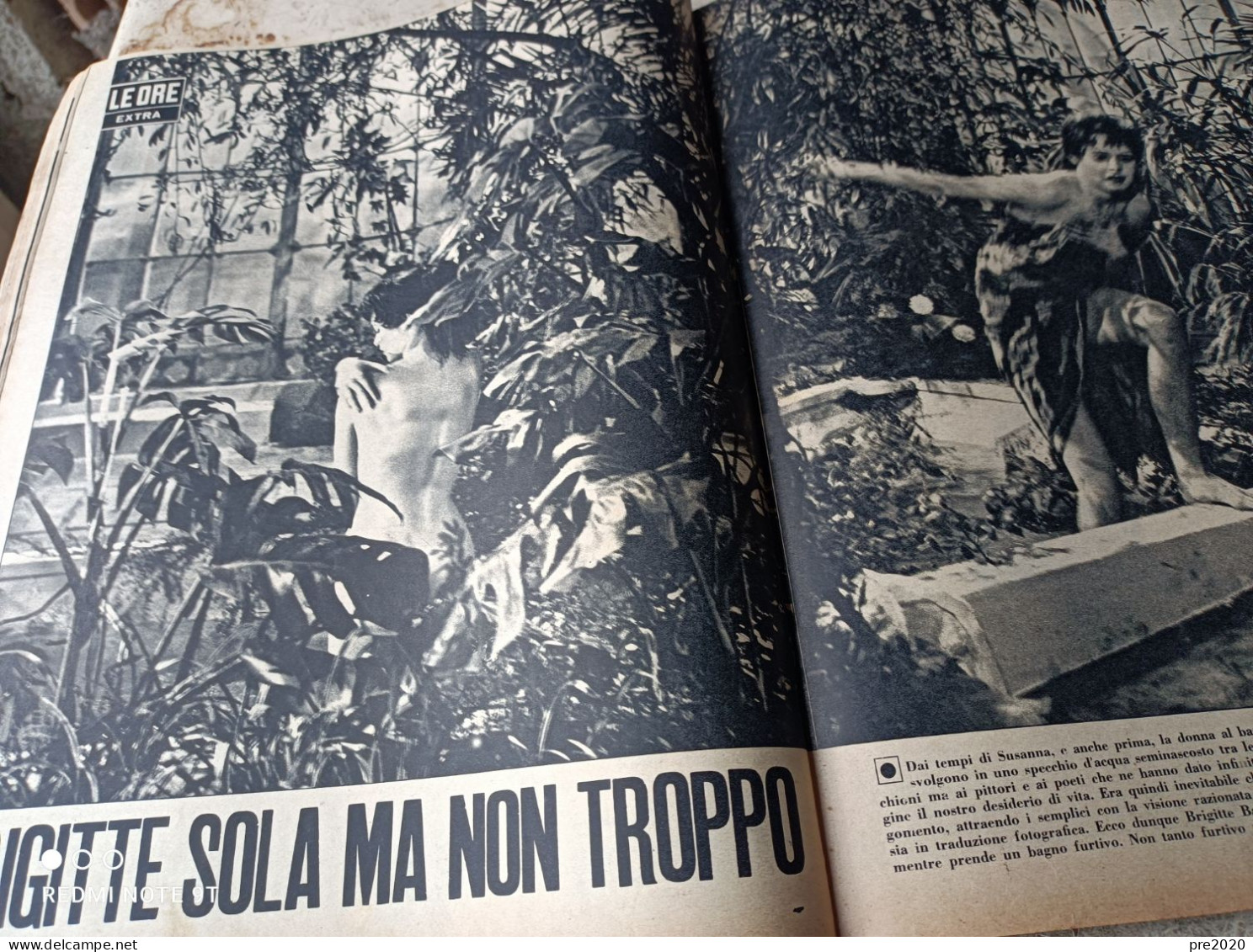 LE ORE 1955 CIPRO BRIGITTE BARDOT SANDRA MONDAINI - Autres & Non Classés