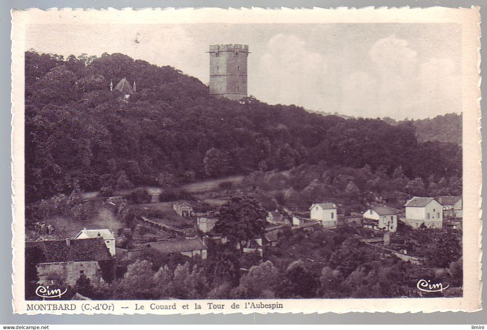 21 - MONTBARD - LE COUARD ET LA TOUR DE L'AUBESPIN - - Montbard