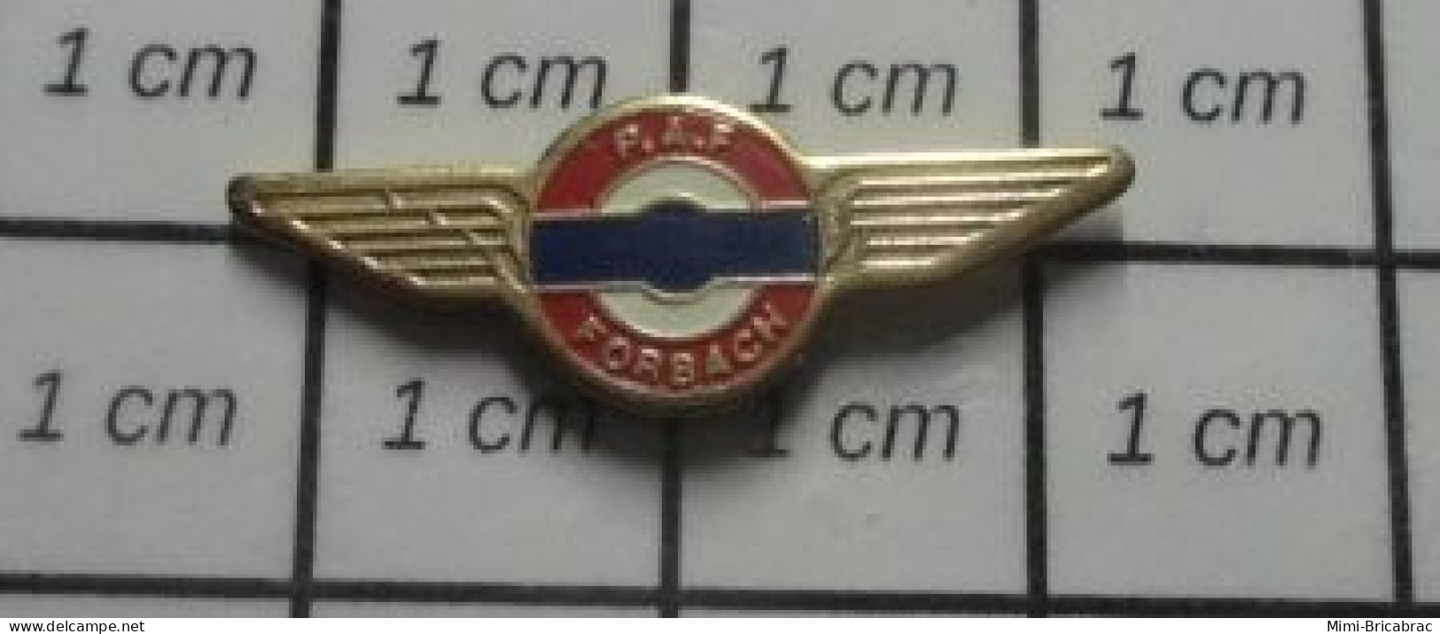 815A Pin's Pins / Beau Et Rare / POLICE / INSIGNE PAF FORBACH - Police