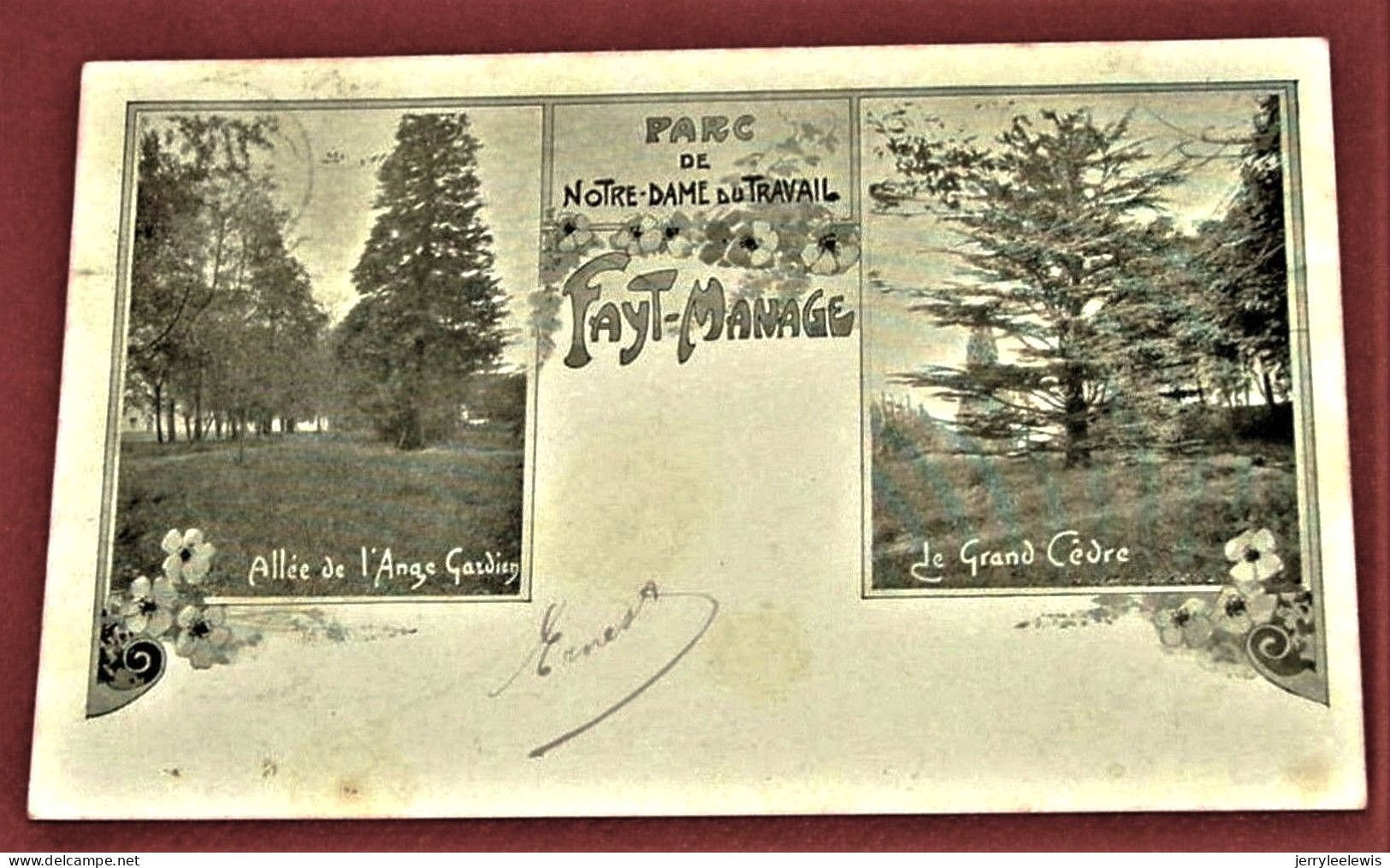 FAYT LEZ MANAGE  -  Parc De Notre Dame Du Travail - Allée De L'Ange Gardien - Le Grand Cèdre  -  1912 - Manage