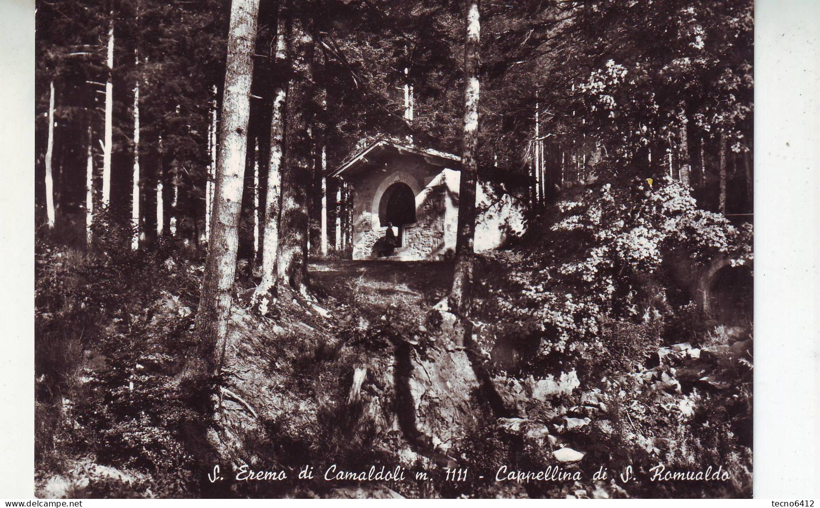 S.eremo Di Camaldolo(arezzo) - Cappellina Di S.romualdo - Non Viaggiata - Arezzo