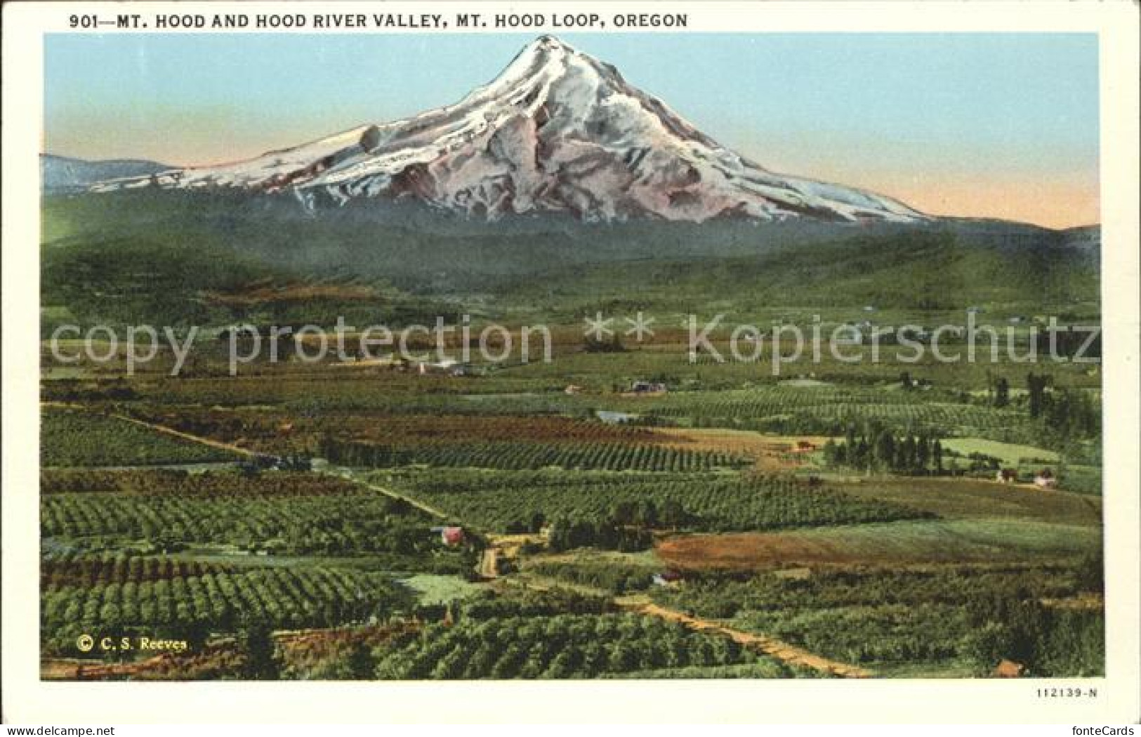 11705465 Portland_Oregon Mount Hood And Hood River Valley  - Autres & Non Classés