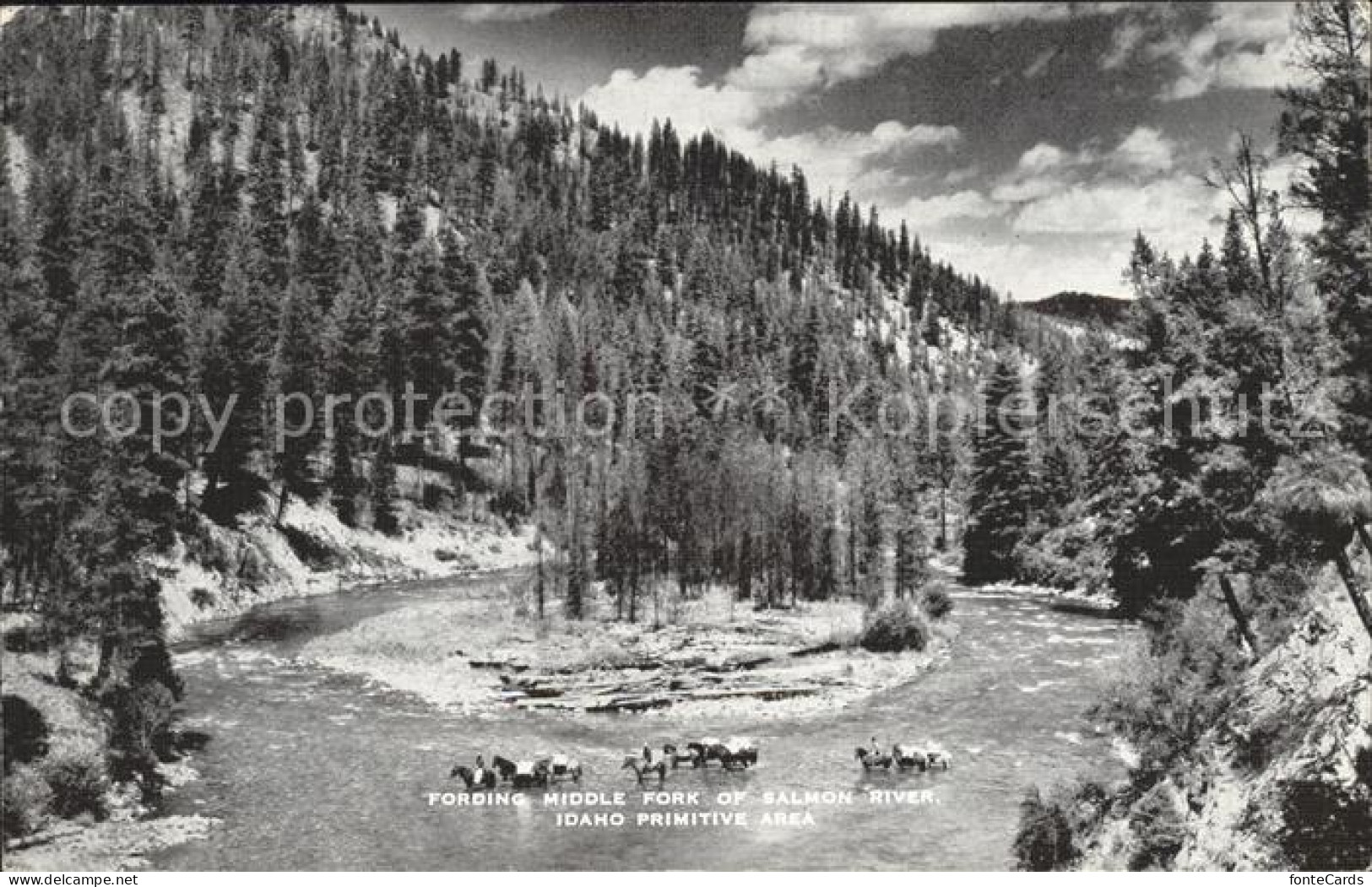11705419 Idaho_US-State Salmon River  - Autres & Non Classés