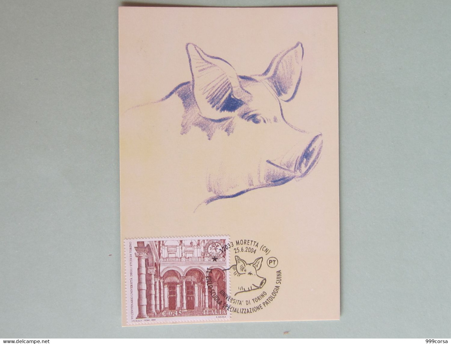 Italia, Scuola Spec. Patologia Suina, 25-6-04, Annullo Speciale, Maiale,porc,pig, Università Torino (A) - Natur