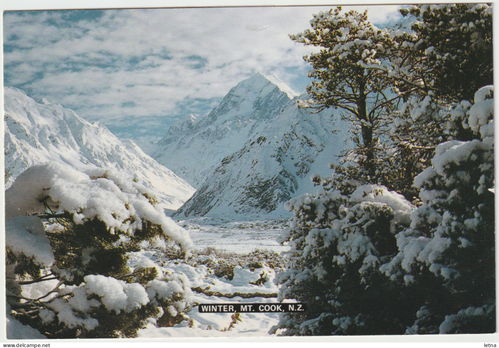 NEW ZEALAND NZ Winter Scene MT COOK Southern Alps Tiki P283 Postcard C1970s - New Zealand