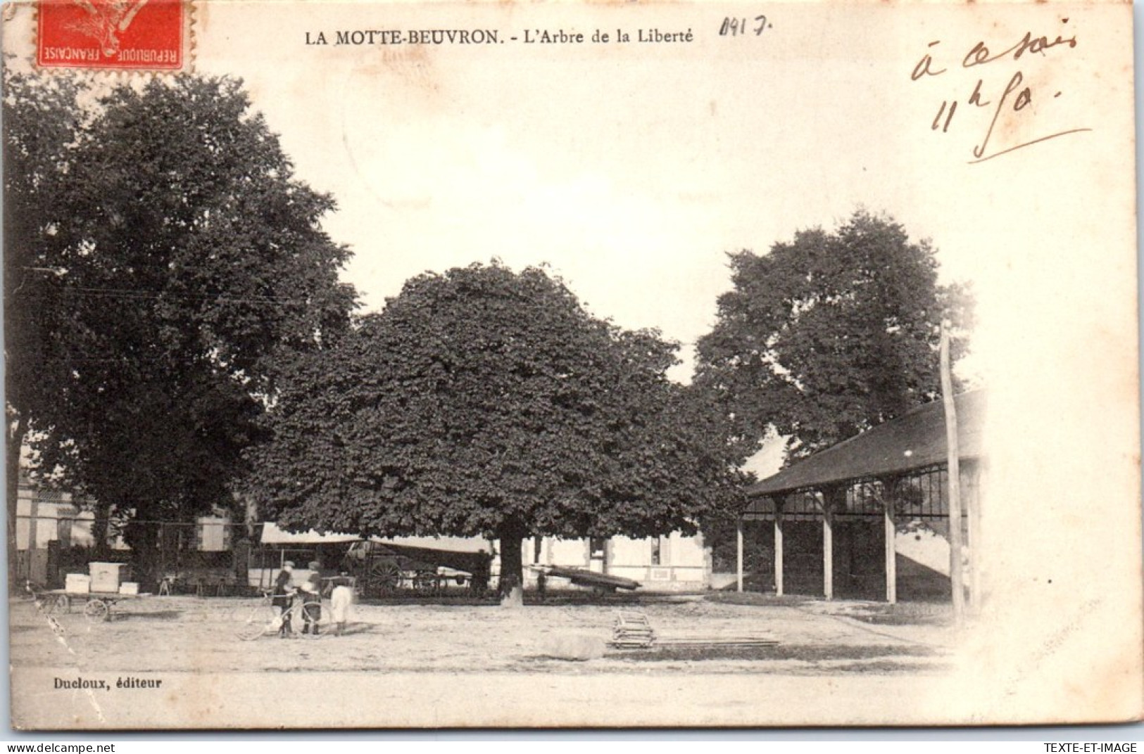 41 LA MOTTE BEUVRON - L'arbre De La Liberte  - Lamotte Beuvron
